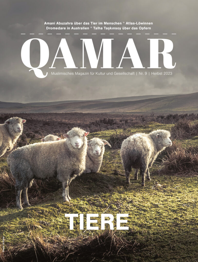 QAMAR (E-Paper) [Digital] – Bild 10
