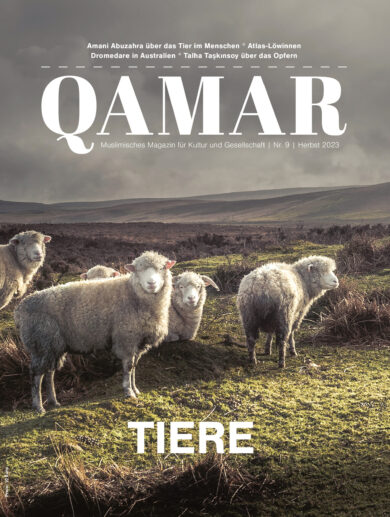 QAMAR (Ausgaben-Archiv)